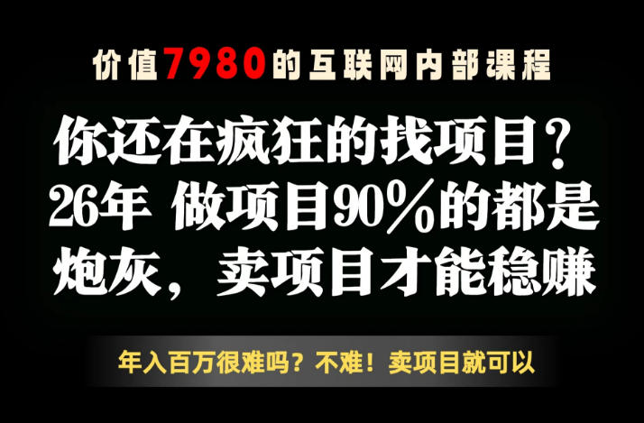 26年请不要疯狂的找项目了，卖项目远比你想象的暴利，你也可以月入10W+【揭秘】-沧海聊项目