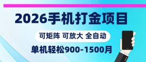 2026手机打金项目，小白轻松上手，单机900-1500月，可矩阵可放大【揭秘】-沧海聊项目