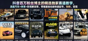 抖音百万粉丝博主的精选独家赛道教学，涵盖汽车+体育+影视解说等，零基础也能快速起号、涨粉、变现-沧海聊项目