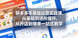 拼多多零基础运营实战课，从基础到进阶提升，从开店到爆单一站式教学-沧海聊项目