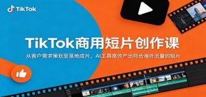 TikTok商用短片创作课：从客户需求策划至落地成片，AI工具高效产出符合海外流量的短片-沧海聊项目
