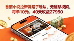番茄小说拉新野路子玩法，无脑怼视频，每单10元，40天收益27950-沧海聊项目