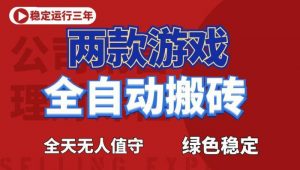 海外游戏全自动搬砖，日入1k+，全天无人值守，绿色稳定！【揭秘】-沧海聊项目