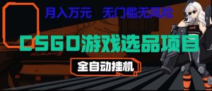CSGO游戏自动扫货项目，全自动运行，月入1W，无风险，长期稳定可以做【揭秘】-沧海聊项目