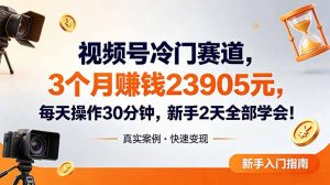 视频号冷门赛道，3个月变现23905元，新手2天学会 每天操作30分钟！-沧海聊项目