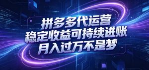拼多多代运营，小白也能轻松月入过万，真实运营数据可查，全托管代运营-沧海聊项目