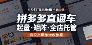 拼多多打爆班原创技术第60期，拼多多直通车，起量・矩阵・全店托管，高投产爆单增收教程-沧海聊项目