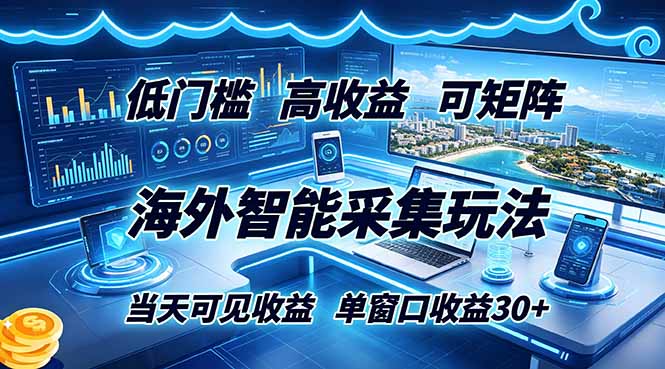 海外智能采集玩法，低门槛高单价可矩阵，当天可见收益，单窗口30+-沧海聊项目
