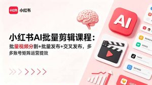 小红书AI批量剪辑课程：批量视频分割+批量发布+交叉发布，多账号矩阵运营提效-沧海聊项目