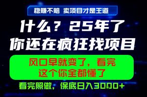 26年，请不要疯狂的找项目做了！卖项目才是真的稳賺不赔，看完照做，保底日入1k+【揭秘】-沧海聊项目