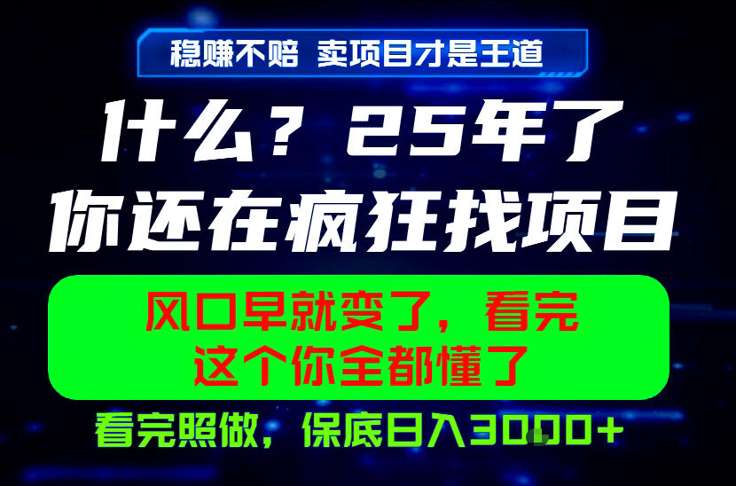 26年，请不要疯狂的找项目做了！卖项目才是真的稳賺不赔，看完照做，保底日入1k+【揭秘】-沧海聊项目