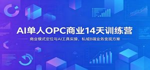 AI单人OPC商业14天训练营：商业模式定位与AI工具实操，私域B端业务变现方案-沧海聊项目