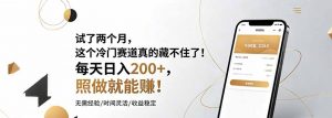 试了两个月，这个冷门赛道真的藏不住了！每天日入200+，照做就能赚！-沧海聊项目