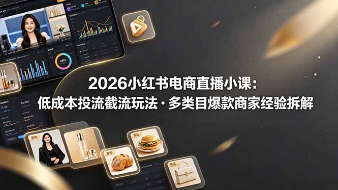 2026小红书电商直播小课，低成本投流截流玩法，多类目爆款商家经验完整拆解教学-沧海聊项目