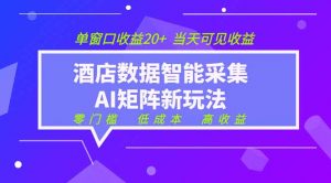2026酒店数据采集ai智能矩阵新风口 低成本 高收益 当天见收益 单窗口20+-沧海聊项目