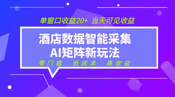 2026酒店数据采集ai智能矩阵新风口 低成本 高收益 当天见收益 单窗口20+-沧海聊项目