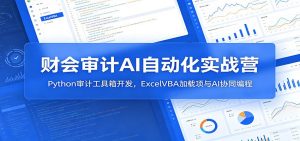 财会审计AI自动化实战营：Python审计工具箱开发，ExcelVBA加载项与AI协同编程-沧海聊项目