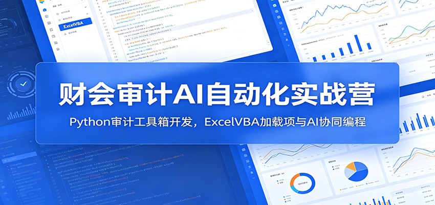 财会审计AI自动化实战营：Python审计工具箱开发，ExcelVBA加载项与AI协同编程-沧海聊项目