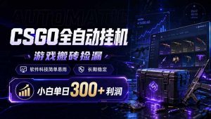 CSGO全自动挂机，游戏搬砖捡漏，软件科技简单易用，长期稳定，小白单日300+利润-沧海聊项目
