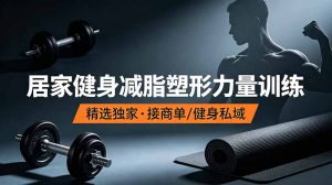 抖音健身热门短视频教学：居家健身减脂塑形力量训练，精选独家，接商单或者健身私域-沧海聊项目