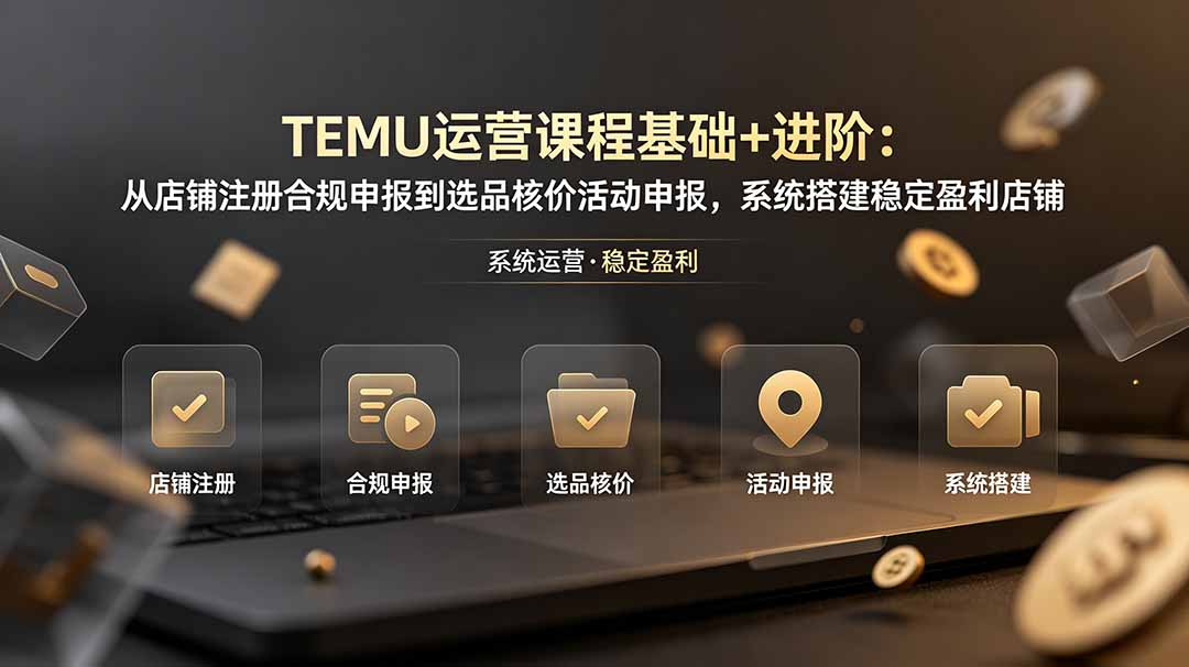 TEMU运营课程(基础+进阶-沧海聊项目