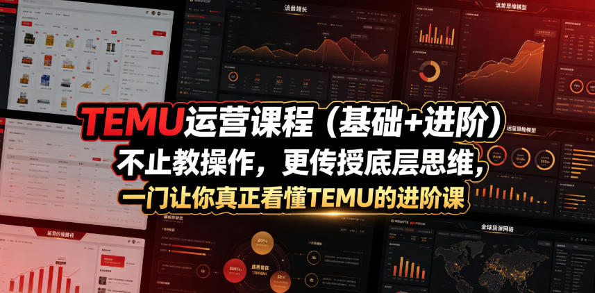 TEMU运营课程(基础+进阶)，不止教操作，更传授底层思维，一门让你真正看懂TEMU的进阶课-沧海聊项目