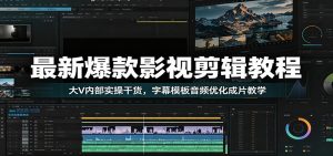 最新爆款影视剪辑教程：大V内部实操干货，字幕模板音频优化成片教学-沧海聊项目