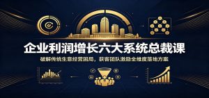 企业利润增长六大系统总裁课：破解传统生意经营困局，获客团队激励全维度落地方案-沧海聊项目