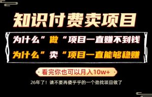 普通人为什么能够靠卖项目轻松月入10W+，而做项目却容易成炮灰，卖项目为什么能够稳賺不赔？【揭秘】-沧海聊项目