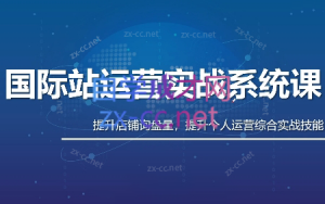 白老师·国际站运营实战系统(高质量询盘增长课)(更新)-沧海聊项目