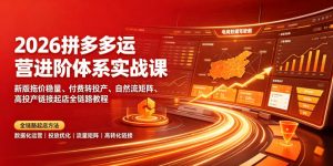 2026拼多多运营进阶体系实战课｜新版拖价稳量、付费转投产、自然流矩阵、高投产链接起店全链路教程-沧海聊项目