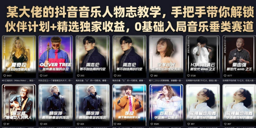 某大佬的抖音音乐人物志教学，手把手带你解锁伙伴计划+精选独家收益，0基础入局音乐垂类赛道-沧海聊项目