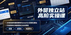 外贸独立站高阶实操课｜从域名服务器搭建到Elementor定制化建站，打造高转化询盘型独立站全教程-沧海聊项目