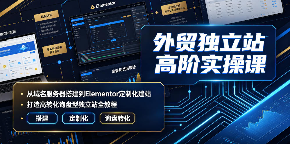 外贸独立站高阶实操课｜从域名服务器搭建到Elementor定制化建站，打造高转化询盘型独立站全教程-沧海聊项目