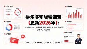 拼多多实战特训营(更新2026年-沧海聊项目