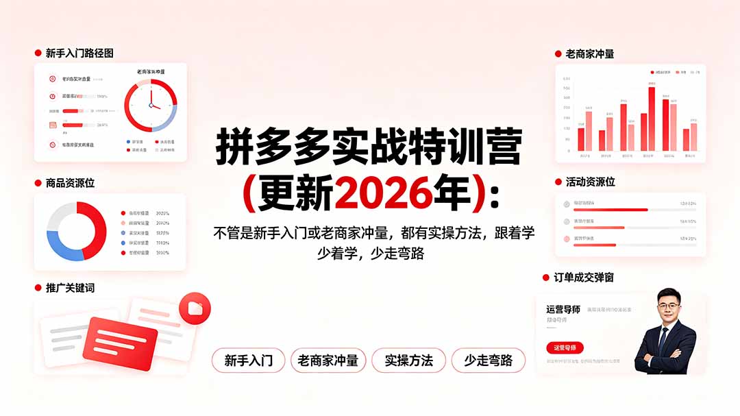 拼多多实战特训营(更新2026年-沧海聊项目
