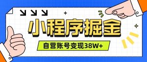 微信小程序掘金，团队自营小程序累计变现38W+，稳定运营三年，一部手机即可操作-沧海聊项目