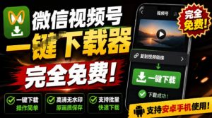 手机端也可下载微信视频号了？完全免费使用，一键解析视频号原视频和封面视频号下载助手v1.1-沧海聊项目