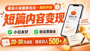 番茄小说最新短篇玩法,稳定日入500+!副业必看,小白可玩,限时开放【揭秘】-沧海聊项目
