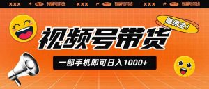 视频号带货，一部手机即可日入1000+，无人直播玩法轻松躺赚带货佣金-沧海聊项目