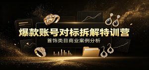爆款账号对标拆解特训营：首饰类目商业案例分析，配套完整资料内容-沧海聊项目
