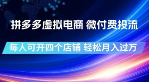 拼多多虚拟电商，微付费投流玩法，每人可开四个店，轻松月入过1W【揭秘】-沧海聊项目