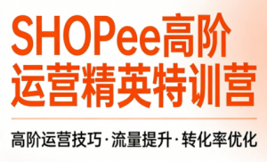 梦凡老师·Shopee虾皮高阶运营课程(更新)-沧海聊项目