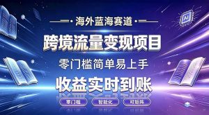 海外蓝海赛道 跨境流量变现项目 收益实时到账 零门槛简单易上手-沧海聊项目