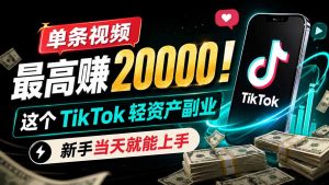 单条视频最高赚 20000！这个 TikTok 轻资产副业，新手当天就能上手-沧海聊项目
