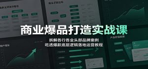 商业爆品打造实战课：拆解各行各业头部品牌案例，吃透爆款底层逻辑落地运营教程-沧海聊项目
