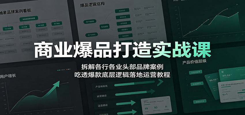 商业爆品打造实战课：拆解各行各业头部品牌案例，吃透爆款底层逻辑落地运营教程-沧海聊项目