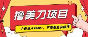 撸美刀，单日收入2000+，小白可做-沧海聊项目