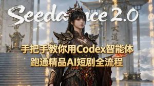 手把手教你用Seedance2.0+Codex智能体跑通精品AI短剧全流程(附3种skill技能-沧海聊项目