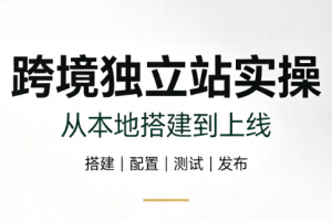 跨境独立站实操：从本地搭建到上线-沧海聊项目